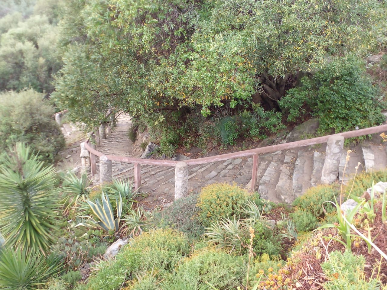 Steps leading from the main house to the cottages (further down on the left but not visible here)